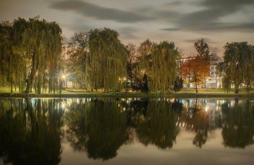 Apartament Na Solnej Z Widokiem Kielce Buitenkant foto